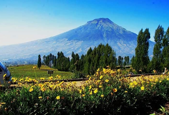 mountain