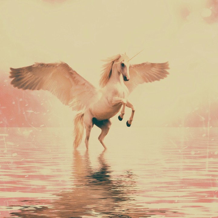 unicorn horse with beautiful wings