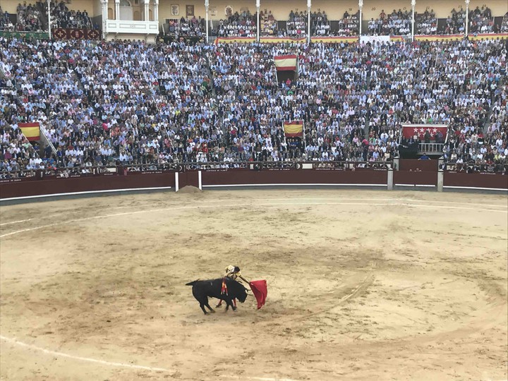 Bull fighter, Spain