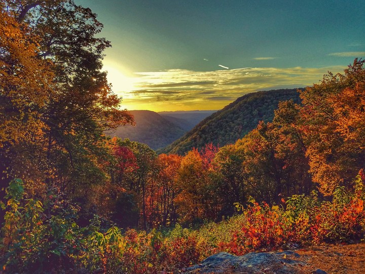 nature