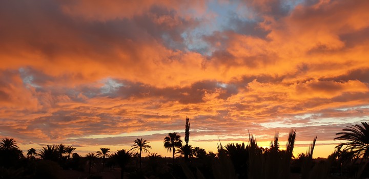 Sunset with palmtrees