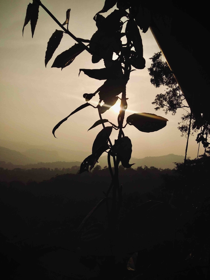 sun