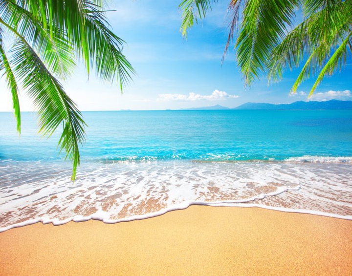 beaches 3