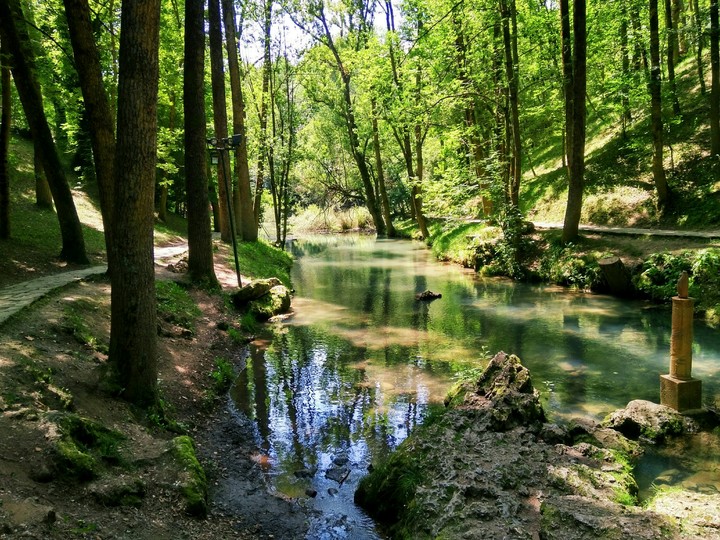 Nacimiento del Ebro