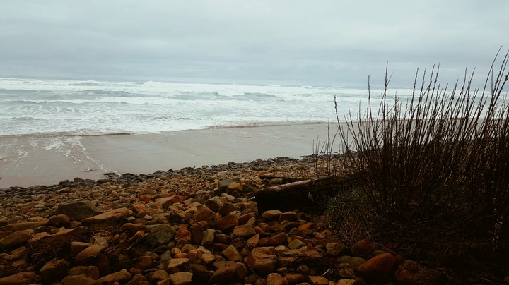 Shoreline