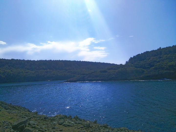 hamsilos