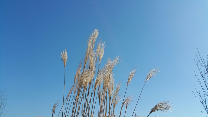 Spring is here