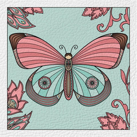 butterfly