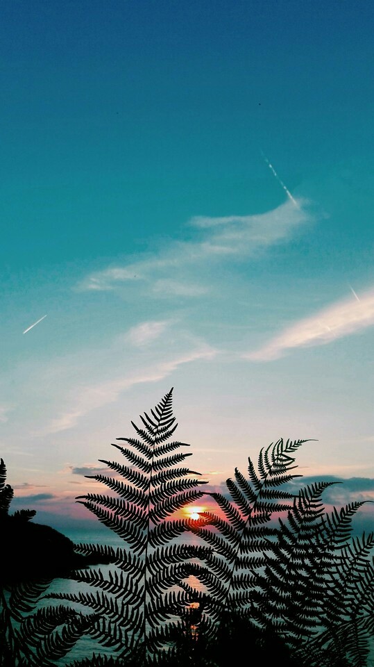sky