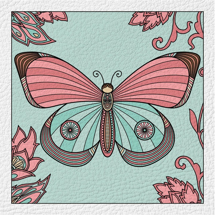 butterfly
