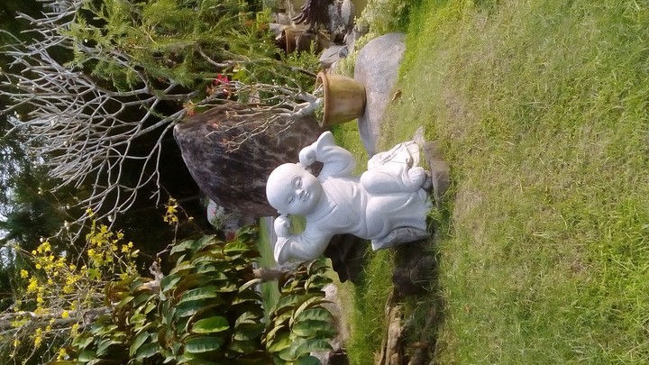 Cảnh