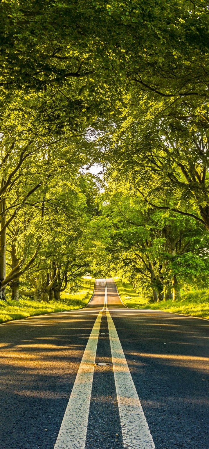 road