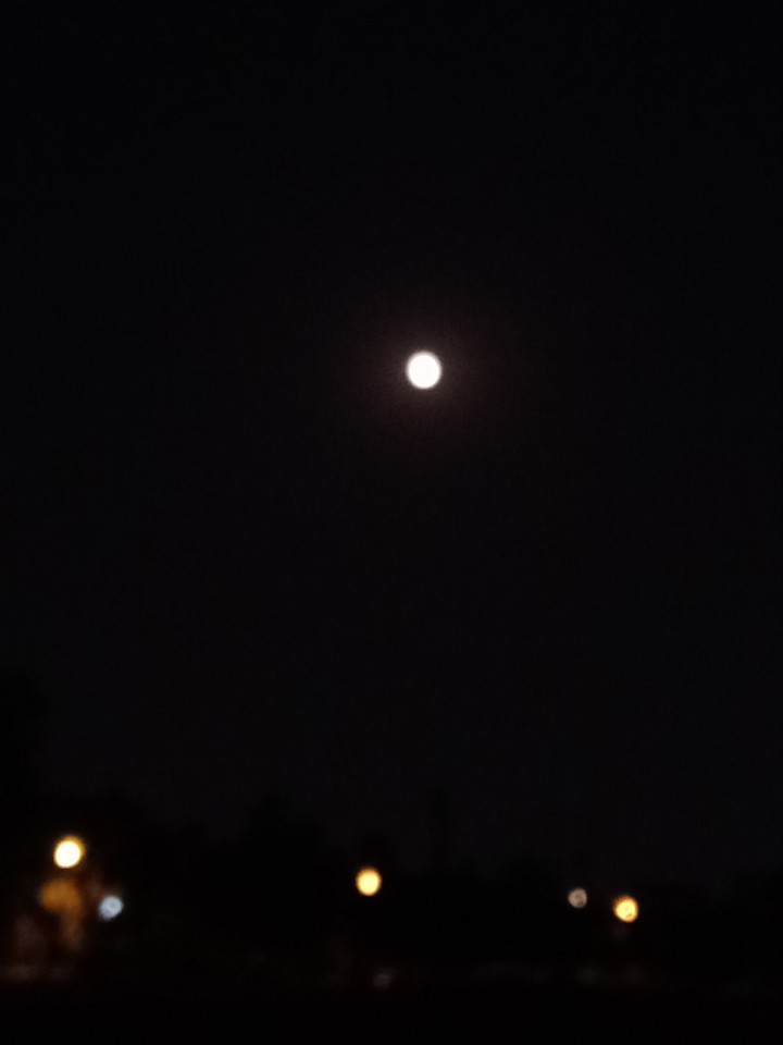 Moon