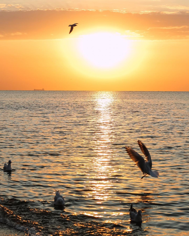 sunset