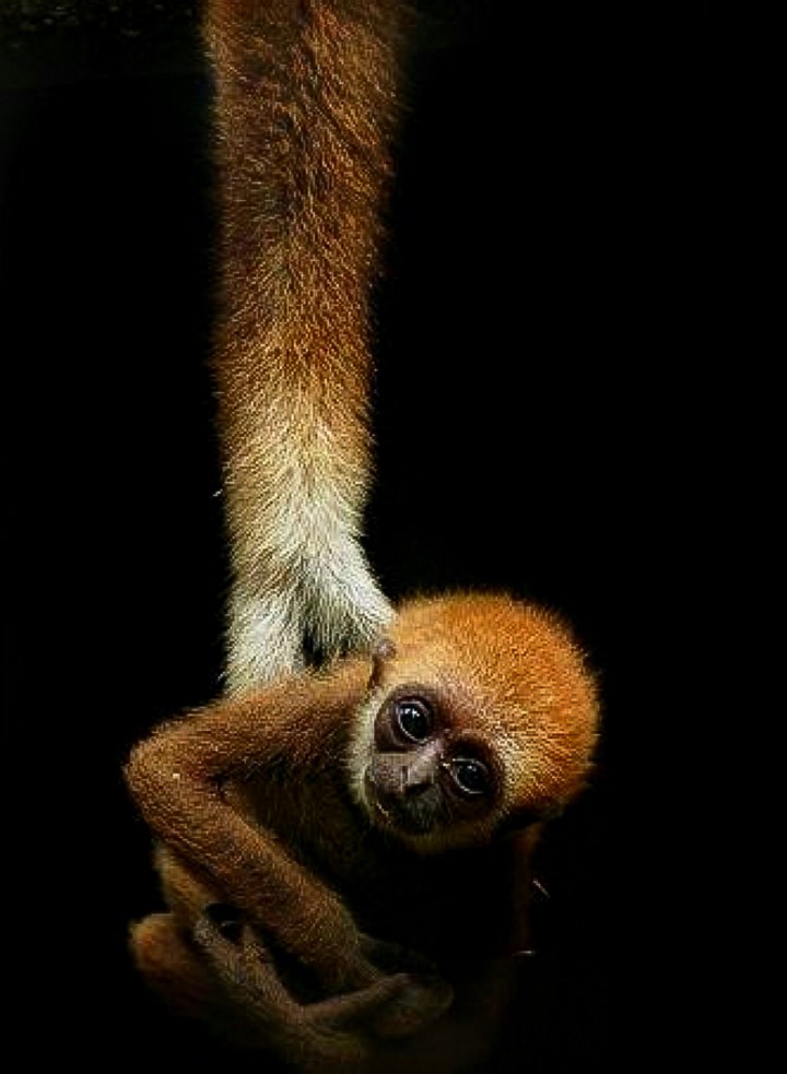 A Hand Up