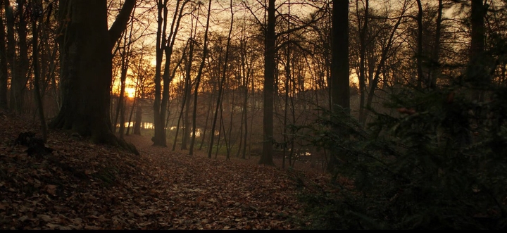 nature beauty