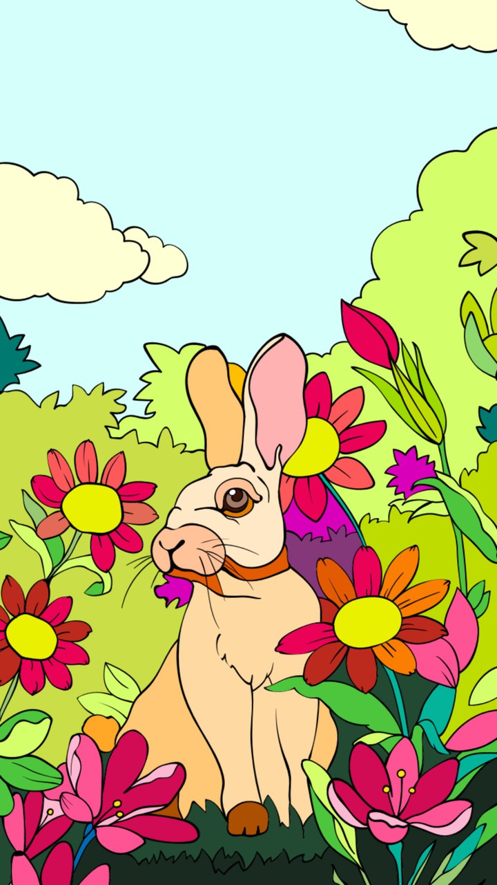 rabbit