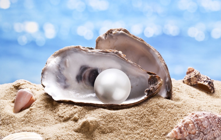 PEARL OF THE OYSTER
