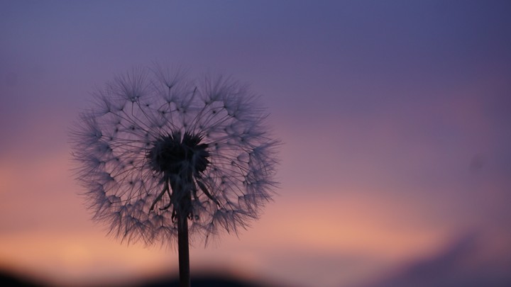 Dancing in sunset
