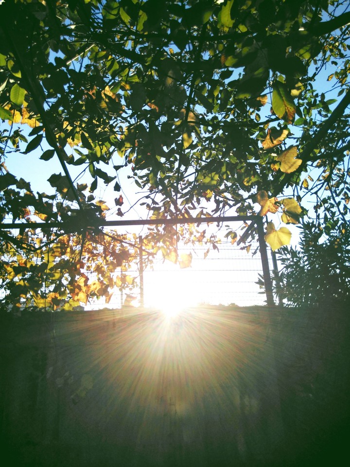 sun