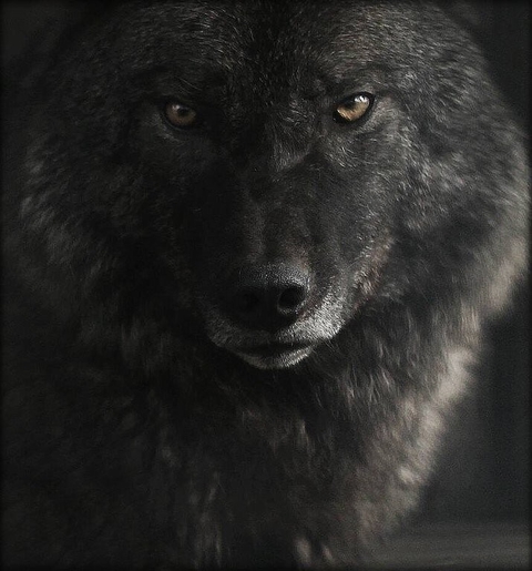 глаза