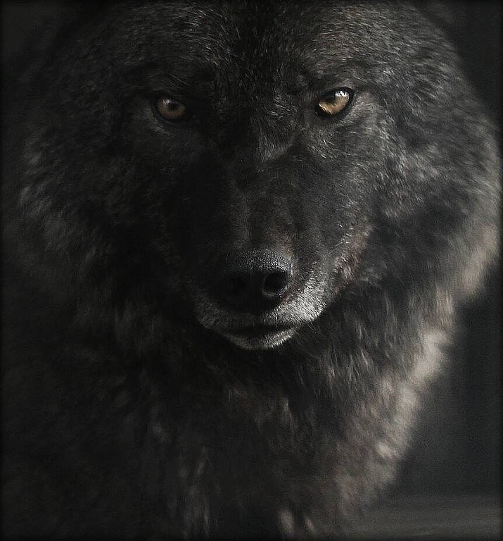глаза