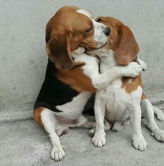 ?