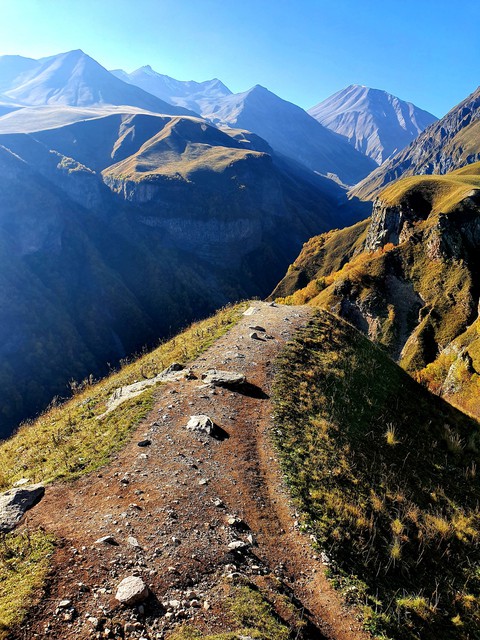 tundra, Ridge壁纸
