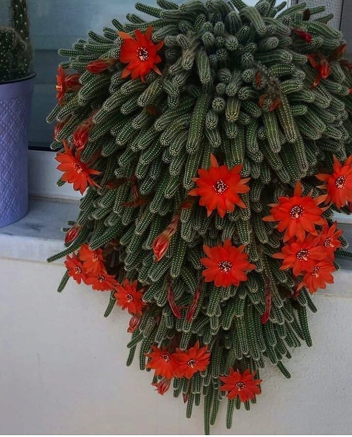 ❤