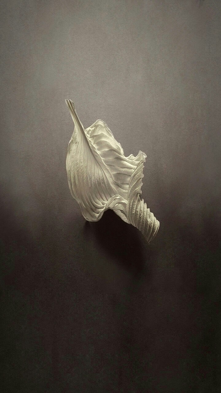 abstract