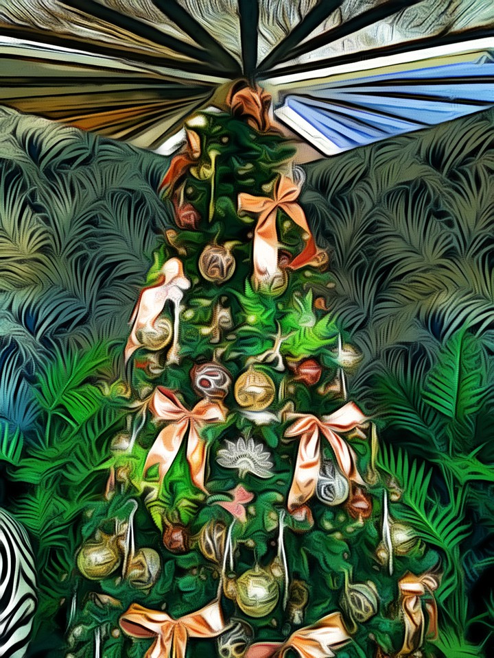 Christmas Miracle