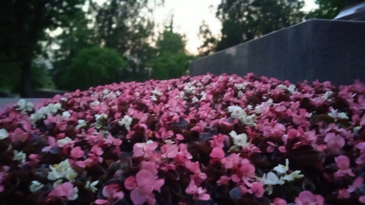 Весна