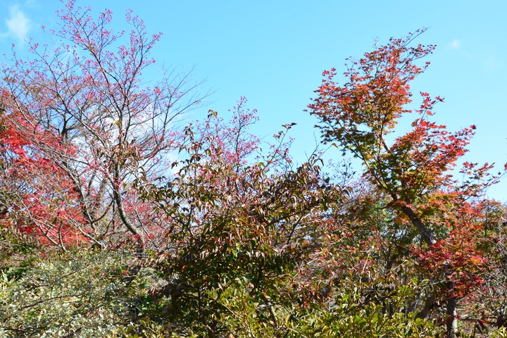 한라산이미지