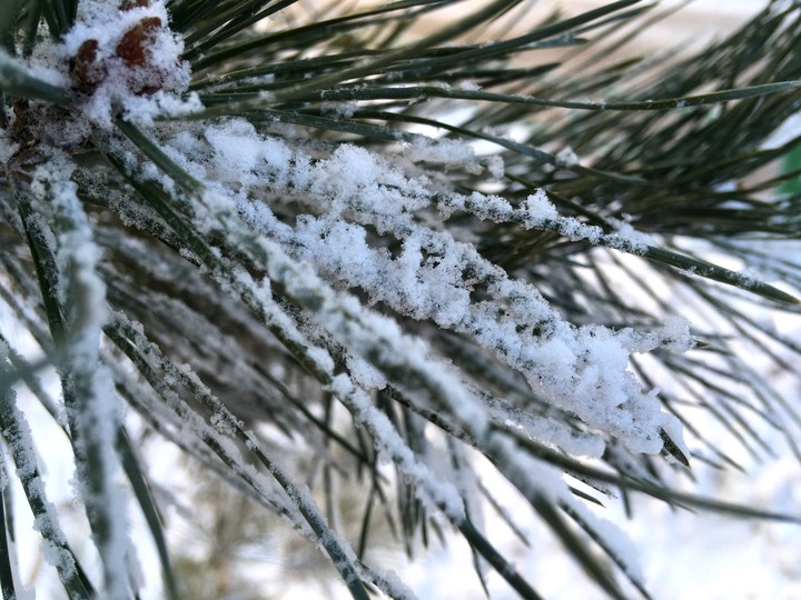 Зима, winter