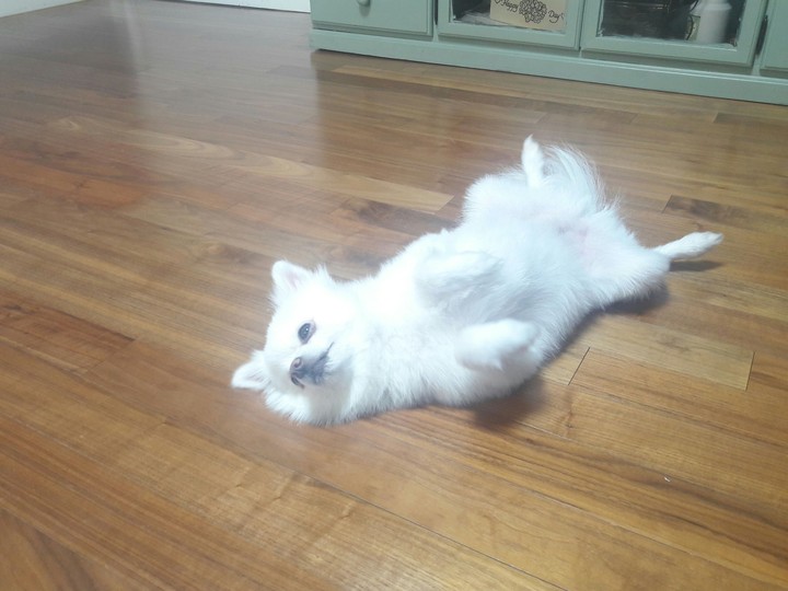 드르와