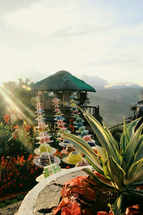 Colorfull