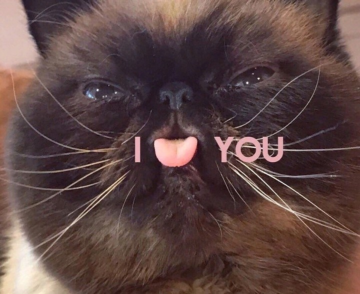 I love you. Cat ❤️