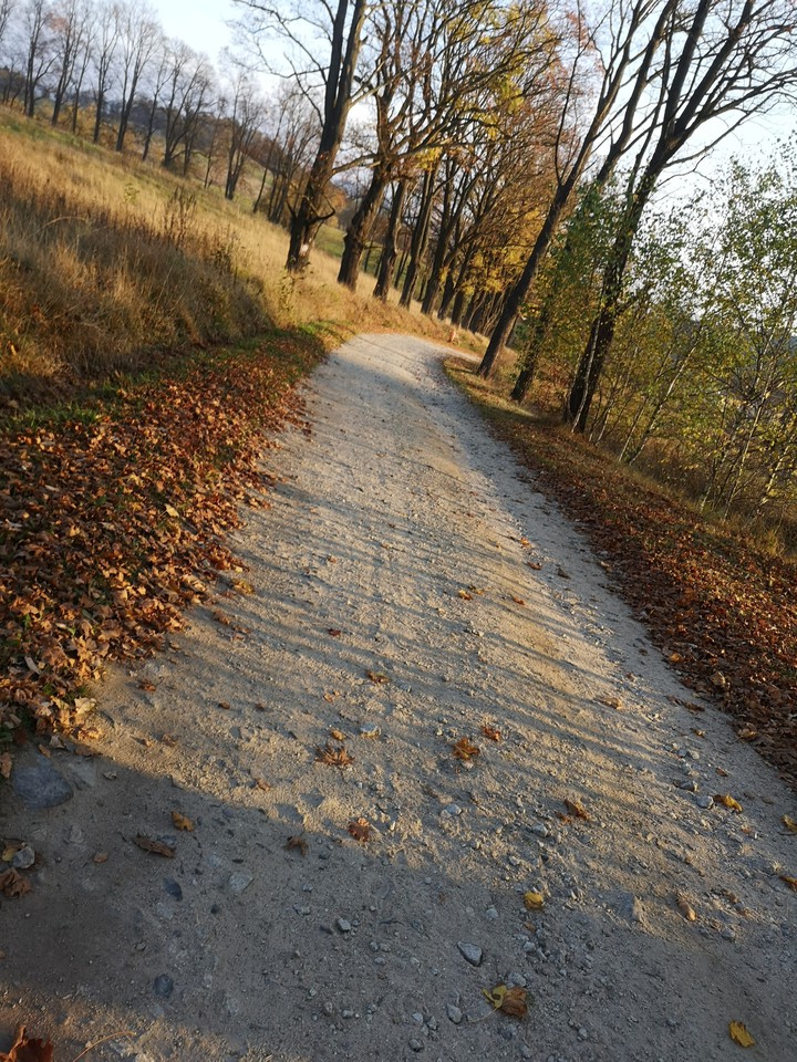 autumn