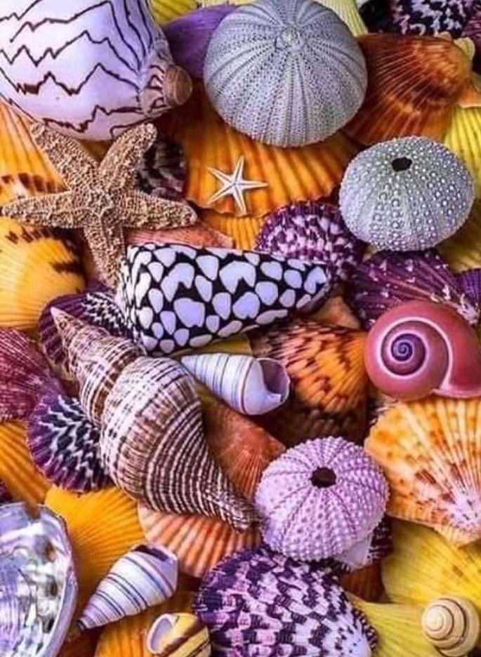 natural things