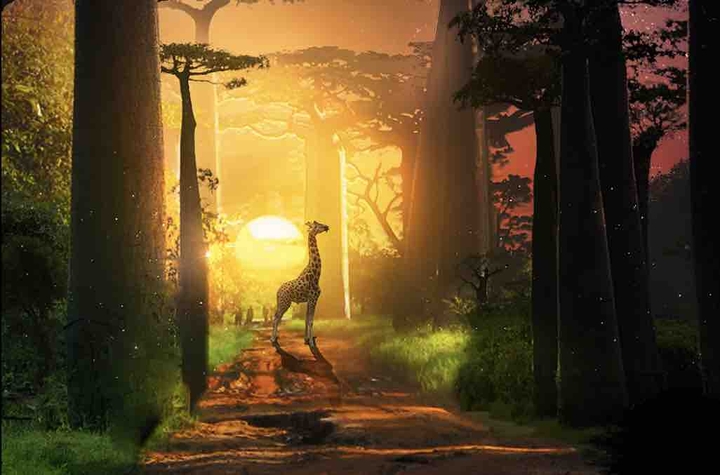 صورة من الطبيعة | A picture of nature