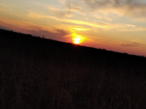 sun