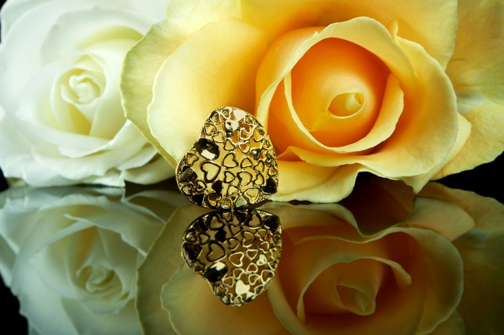 gold rose