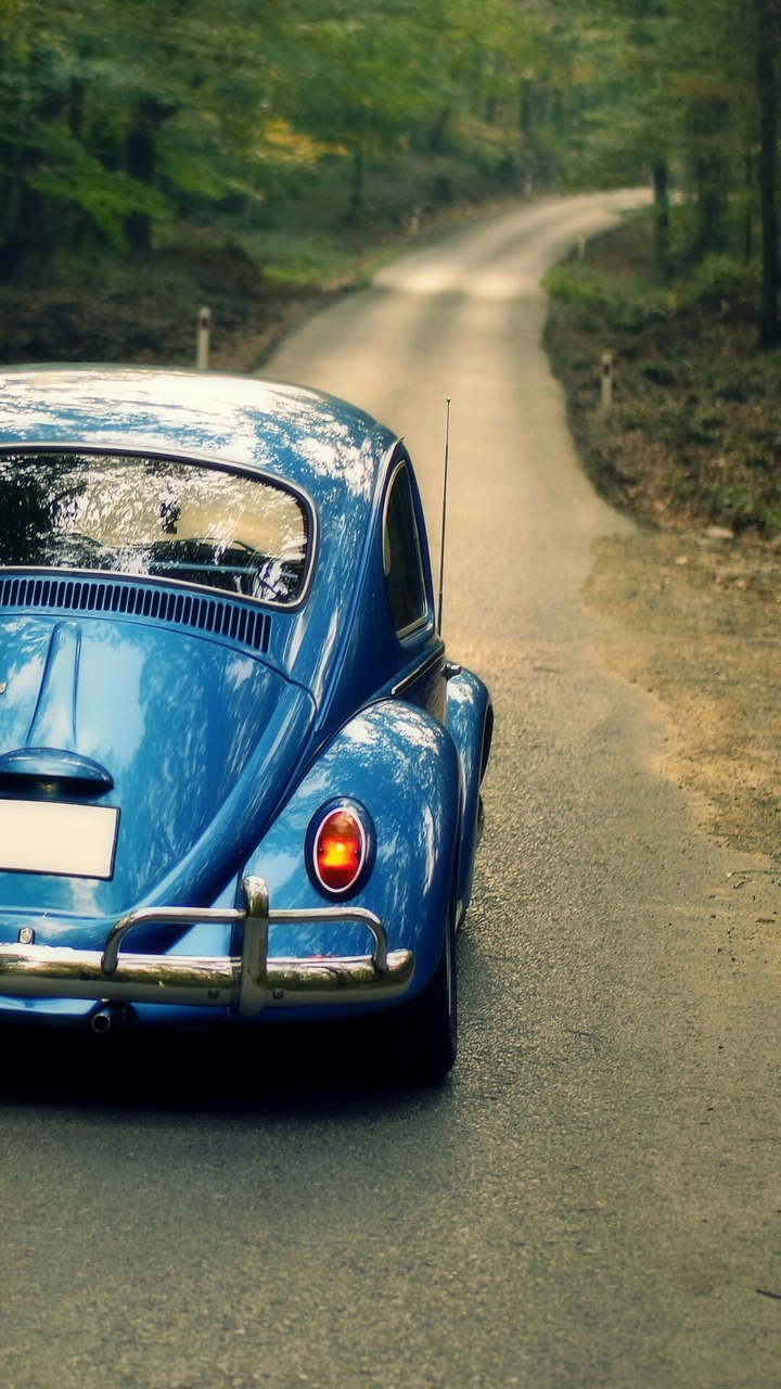 Blue VW