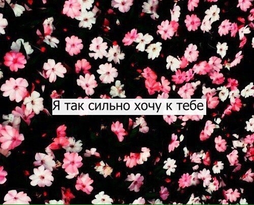 ❤