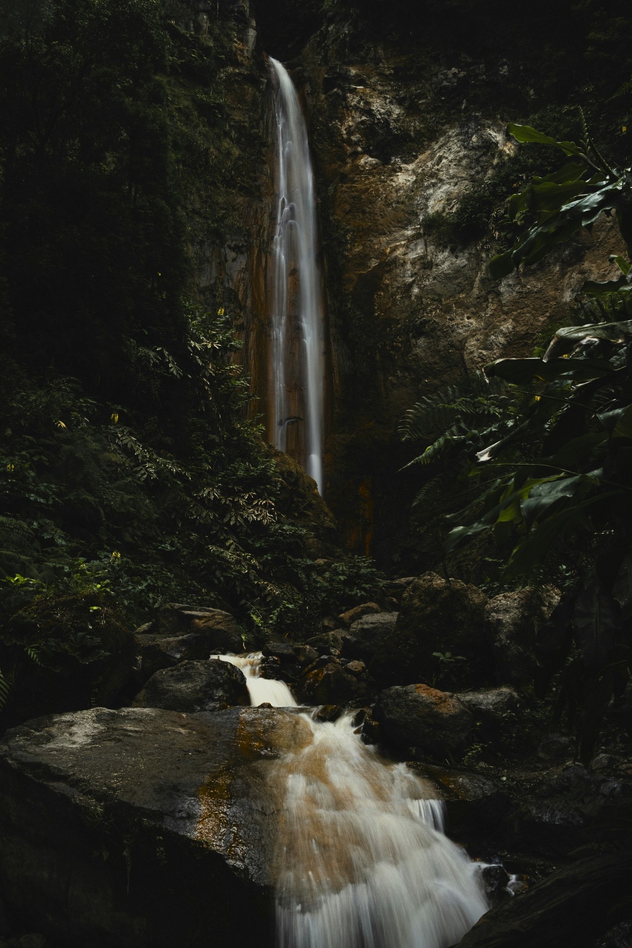 hình nền vegetation, waterfall