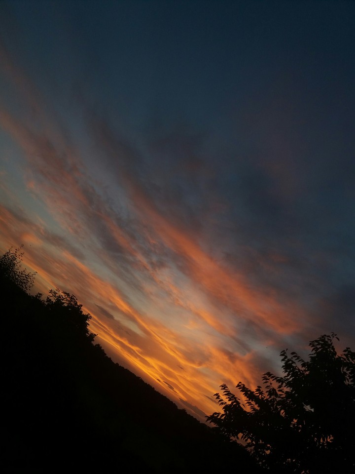 my view of the sky