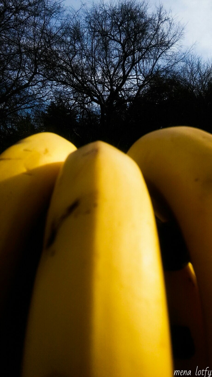 bananas