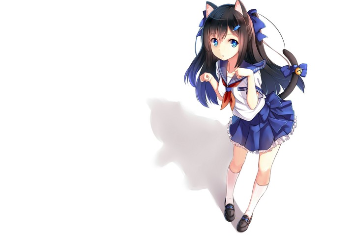 Meifwa Cat!
