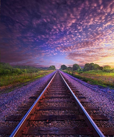 Tracks