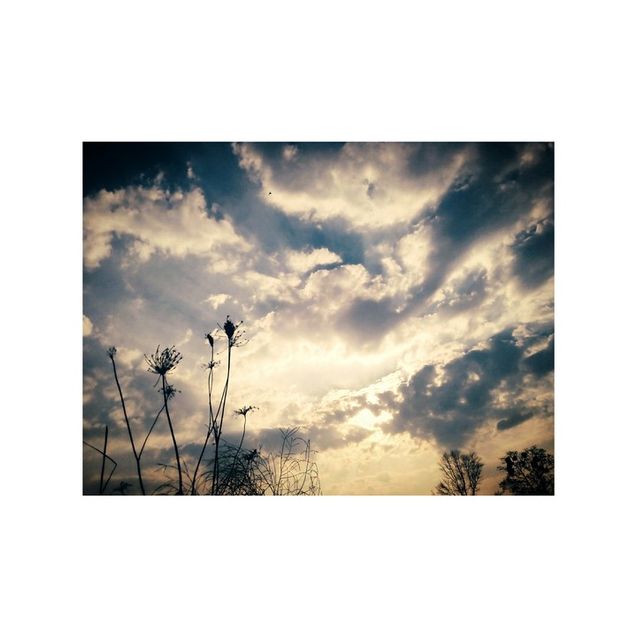 Evening☁